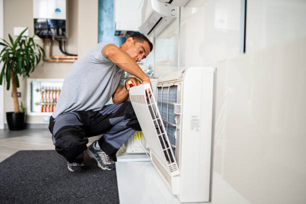 Best Home Air Vent Cleaning  in Alanuk, AK