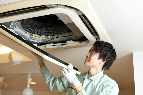 Best Affordable Air Duct Cleaning  in Alanuk, AK