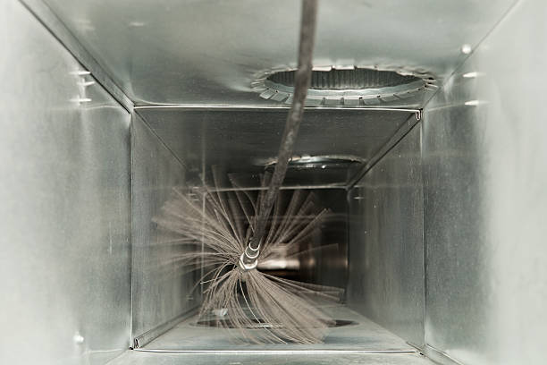 Best Duct Cleaning for Homes  in Alanuk, AK