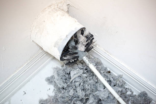 Best HVAC Duct Inspection Services  in Alanuk, AK